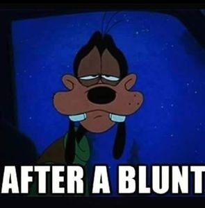 Meet your Posher, David goofy